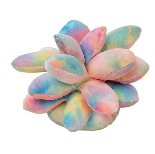 Supersonic succulents