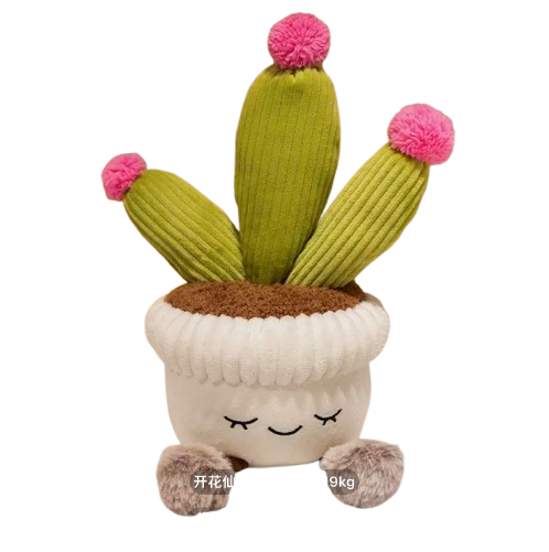 Supersonic succulent sweetie