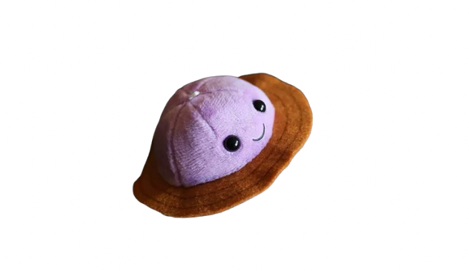 Neutrino from Saturn