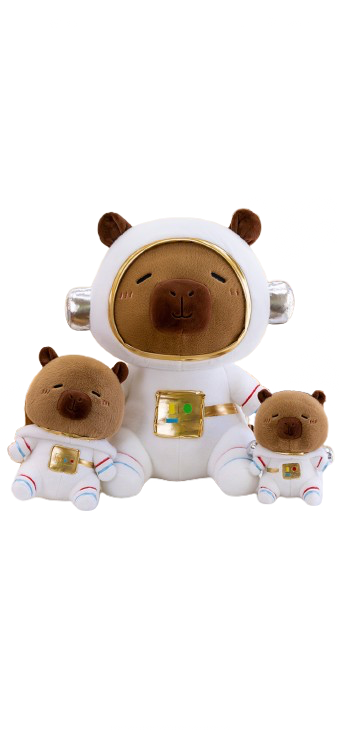 Astronaut Bears