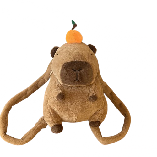 Capybara On Your Back