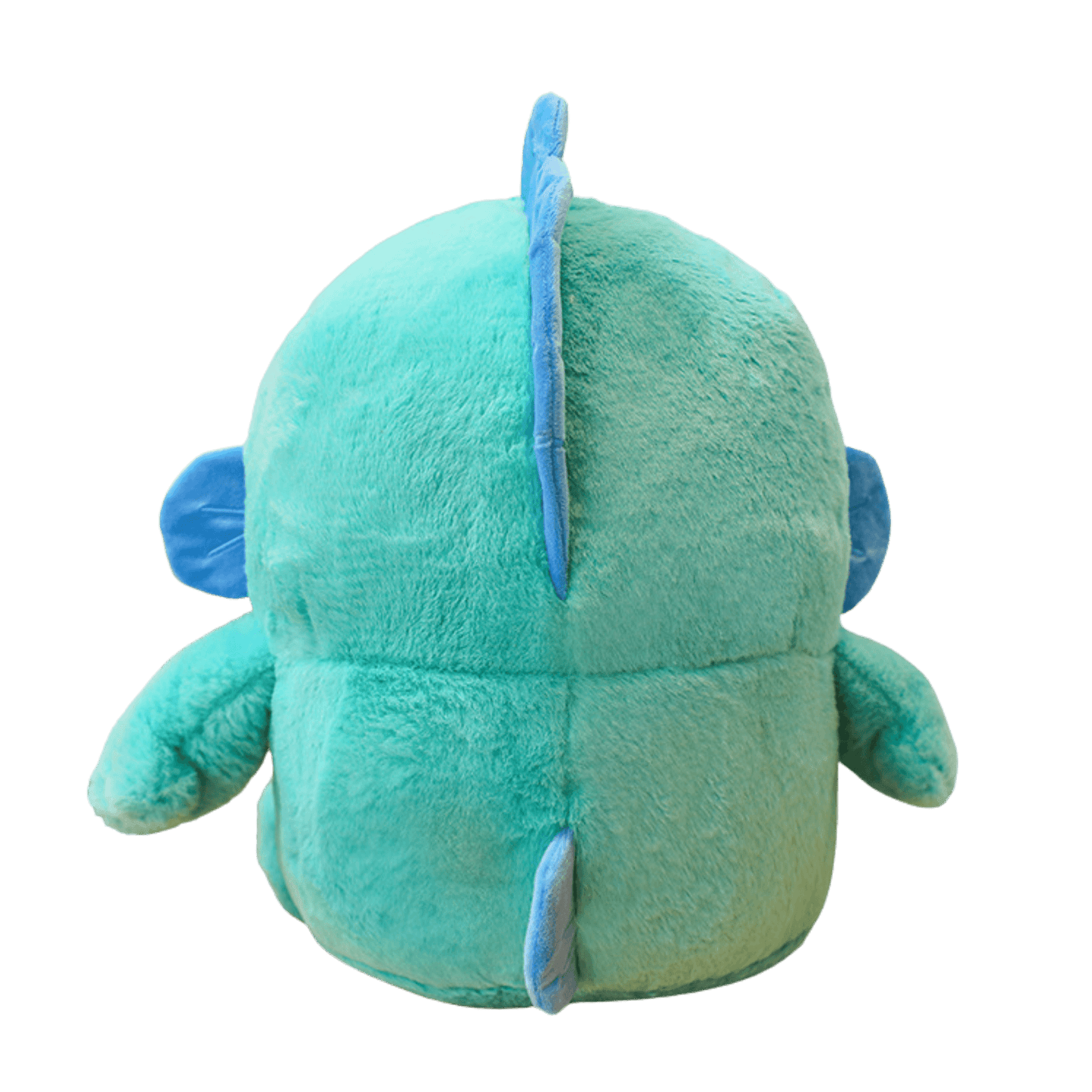Fish Squish Charlie