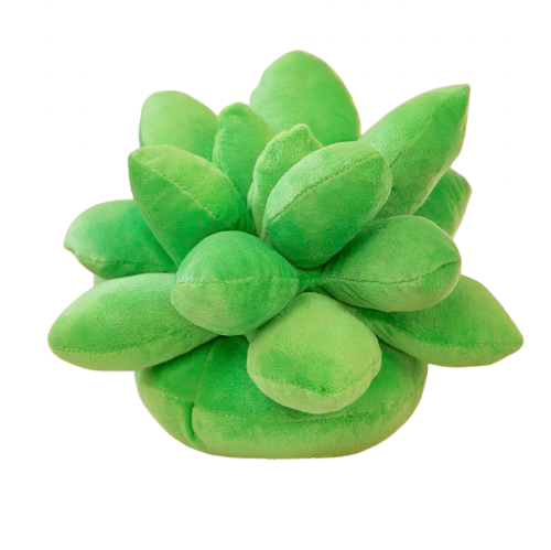 Supersonic succulents