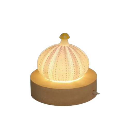 Vana Sea Shell Night Light
